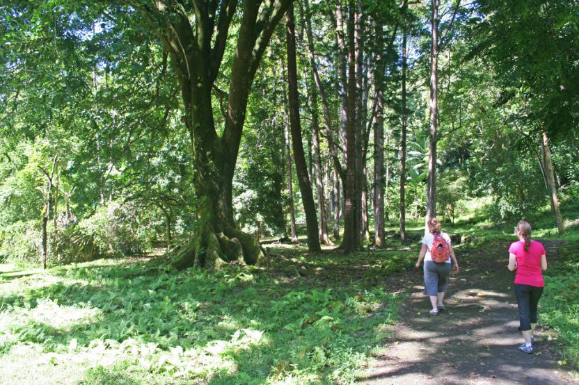 Ke'anae Arboretum, United States